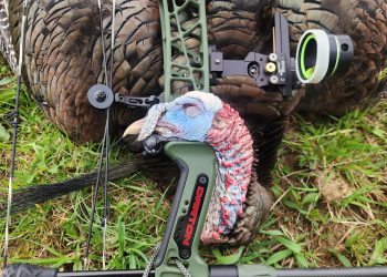 Ohio Turkey Hunt – No Blind, No Problem