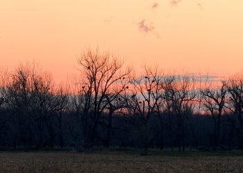 Memory Shots- Your Cell Phone can Make Magic