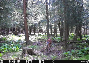 From the Scrape – Ready, Set, Grow!