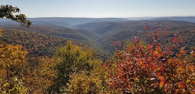 Savage Highlands Lodge